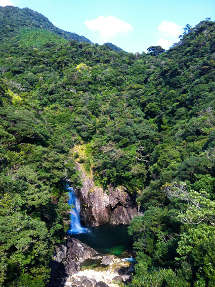 Govinda Kai Ashtanga Yoga Retreat  3/23(金)～3/25(日)【屋久島,Yakushima】_d0178219_1215251.jpg