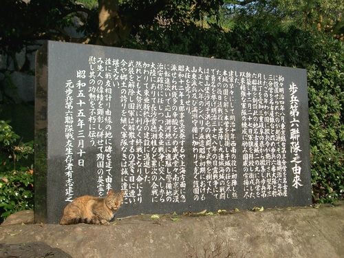 名古屋城（愛知県名古屋市）_c0219820_21284911.jpg