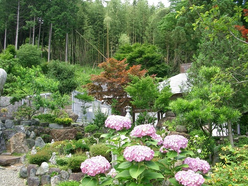 金剛寺（神奈川県秦野市）_c0219820_2272722.jpg