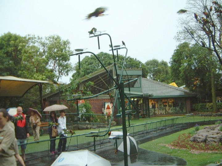 c0074721_1620424.jpg