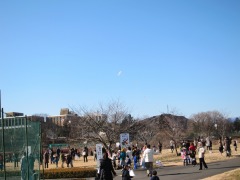 1月14日(たこあげ大会)_d0091723_15292987.jpg