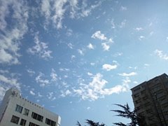 d0149223_17233027.jpg
