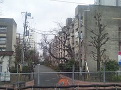 d0149223_1723541.jpg