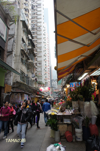 c0024729_17171910.jpg