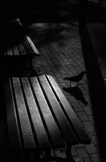 2012-1-14　音のない夕暮れ_c0136330_11255610.jpg