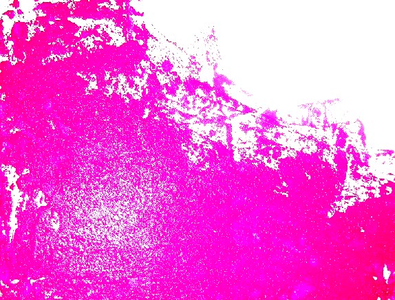 d0247530_164446.jpg