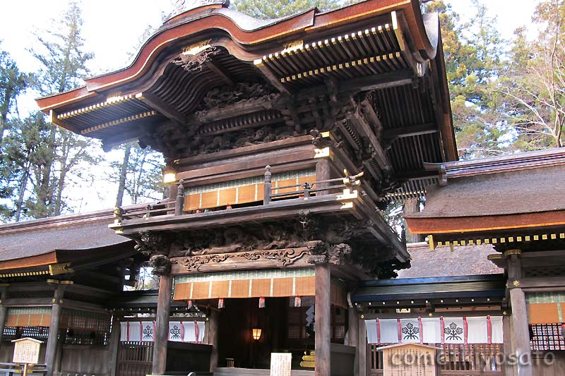 諏訪大社 一挙巡り_b0179231_1132534.jpg
