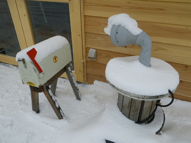 りんごのタルト_b0207642_14244828.jpg