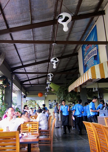 d0106242_1332356.jpg
