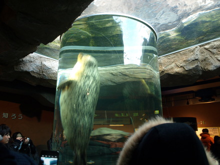 e0221359_10328100.jpg
