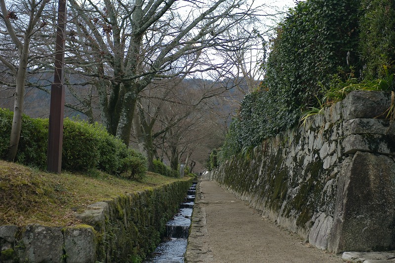 a0022762_152790.jpg