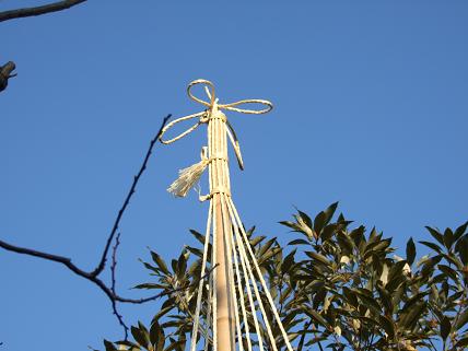 小松市の最近のお天気と雪吊り_f0103062_12201872.jpg