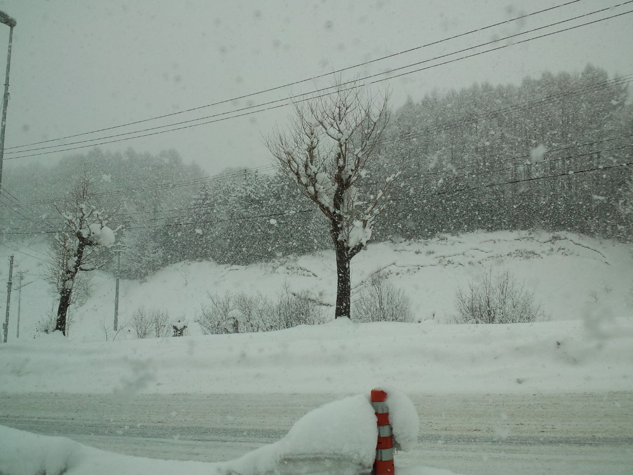 北海道五日目 ☆ カムイスキーリンクス_c0151965_154781.jpg