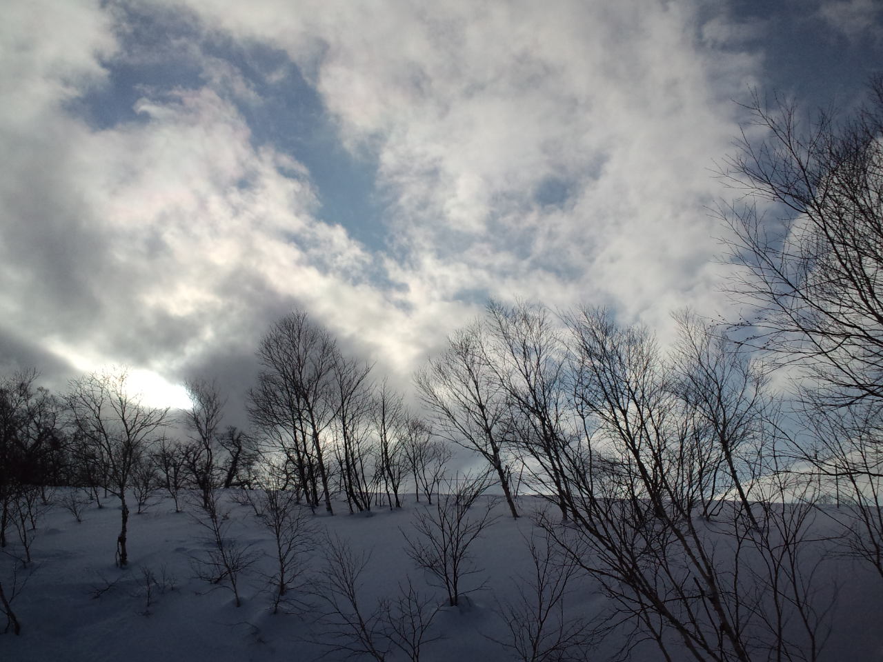 北海道五日目　☆　カムイスキーリンクス_c0151965_173227.jpg