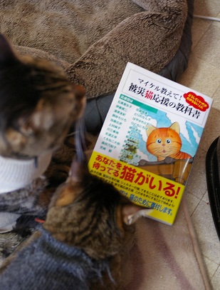はるちゃんとめーちゃんから_a0064067_1130725.jpg