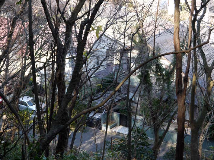 12年初の六国見山森林公園の臨時手入れ終了（1・14）_c0014967_18532476.jpg