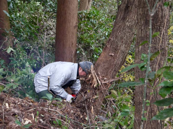 12年初の六国見山森林公園の臨時手入れ終了（1・14）_c0014967_1858093.jpg