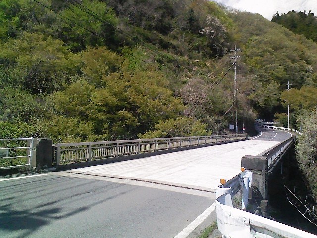 2011/04/24 阿夫利山 安寺沢金剛山_d0233770_23444312.jpg