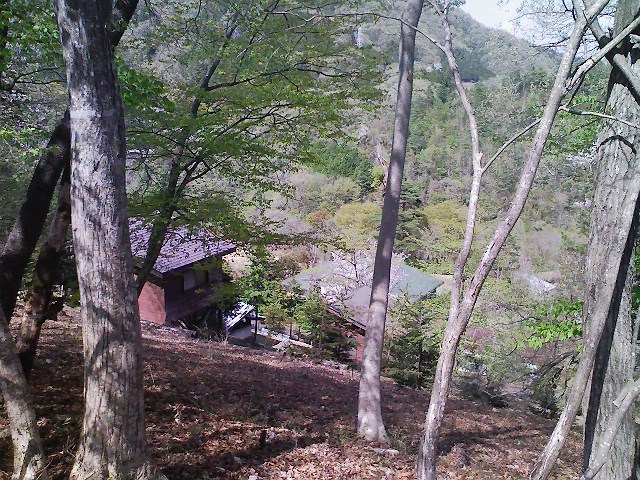 2011/04/24 阿夫利山 安寺沢金剛山_d0233770_235037.jpg