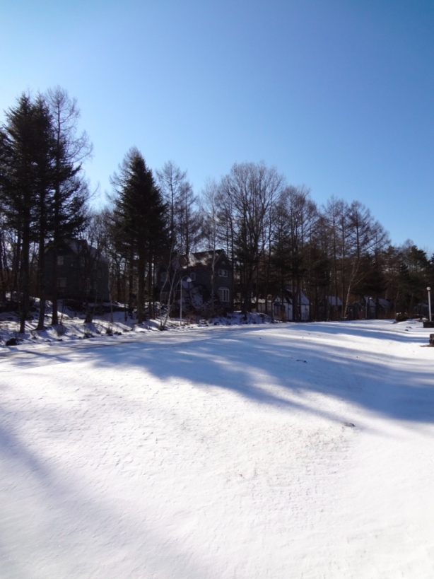 雪ふったよ!でも・・・_f0180878_1882445.jpg