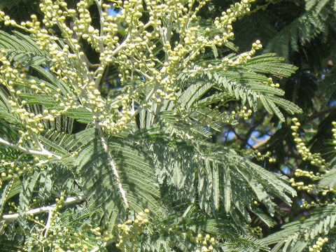 d0214690_1913649.jpg