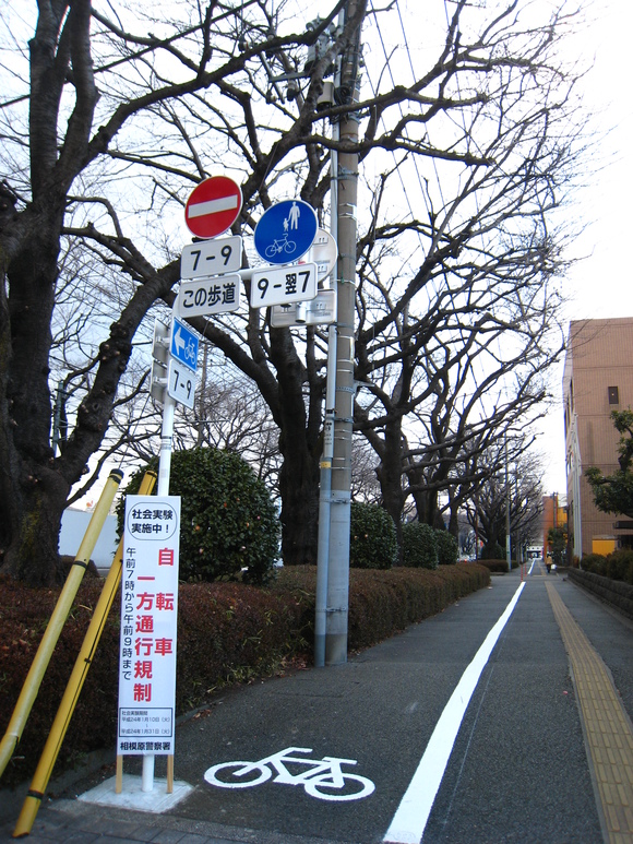d0224990_2034556.jpg