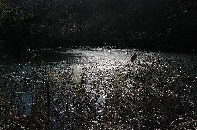e0070891_182841100.jpg