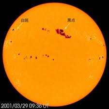f0064891_1645042.jpg