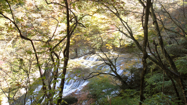 d0004301_18316.jpg