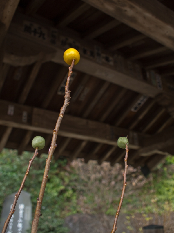 甘縄神明神社_a0114003_22282413.jpg