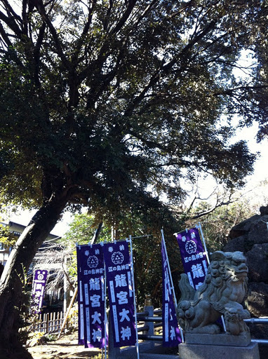 龍宮大神 in江島神社_d0075206_2317448.jpg