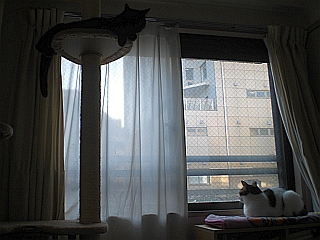 d0131207_22552178.jpg