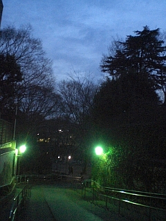 d0131207_22553021.jpg