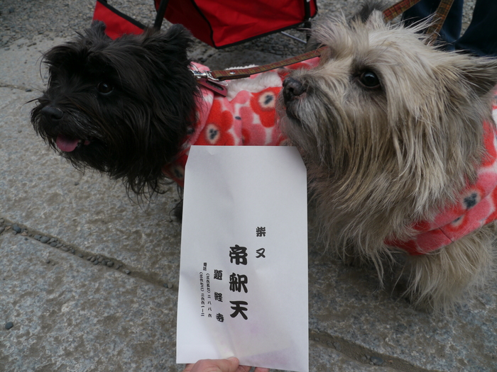 帝釈天参り　その①_c0039114_1371958.jpg