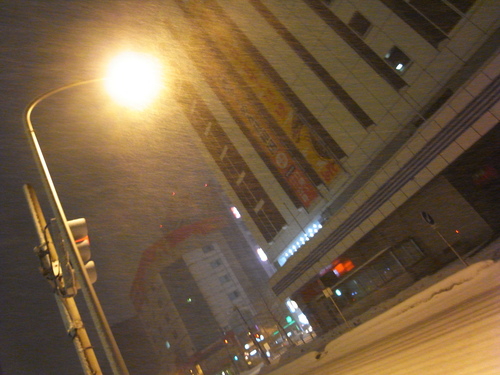 辛うじての札幌観光。_c0116714_1530471.jpg