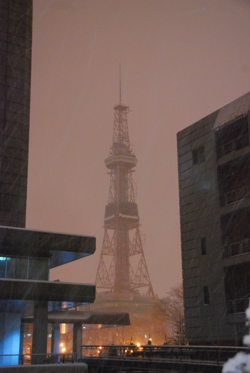 辛うじての札幌観光。_c0116714_165066.jpg
