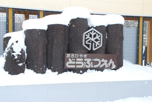 観せるのではなく「伝える」ということ。_c0116714_18271955.jpg