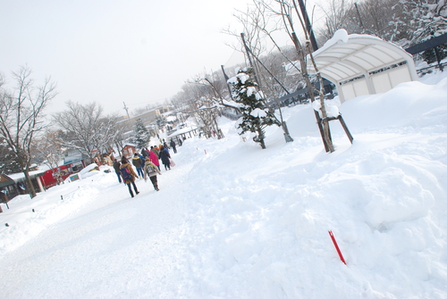 観せるのではなく「伝える」ということ。_c0116714_18402415.jpg