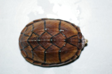 e0254814_22342977.jpg