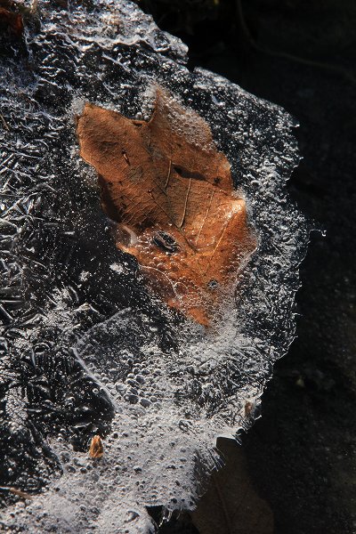 e0242721_8113281.jpg
