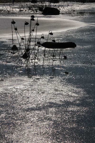 e0242721_8122952.jpg