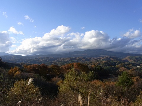 a0197624_22183596.jpg