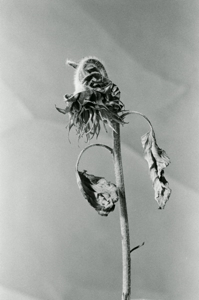 f0182924_013254.jpg