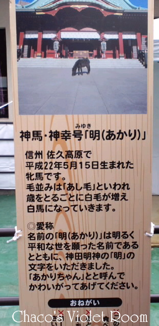 e0245625_19564380.png