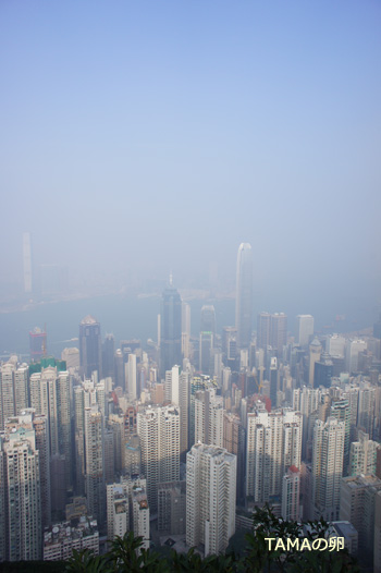 c0024729_1959157.jpg