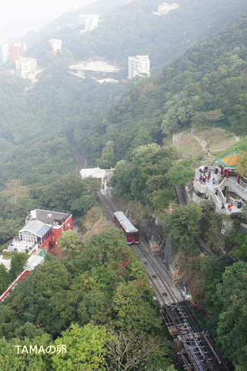 c0024729_19592425.jpg