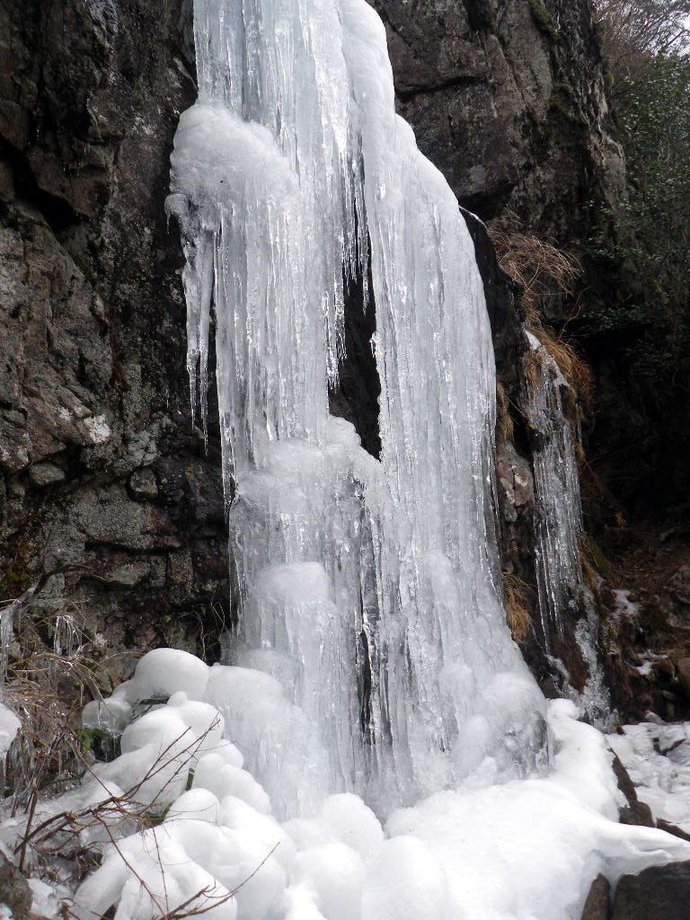 f0000330_17285679.jpg