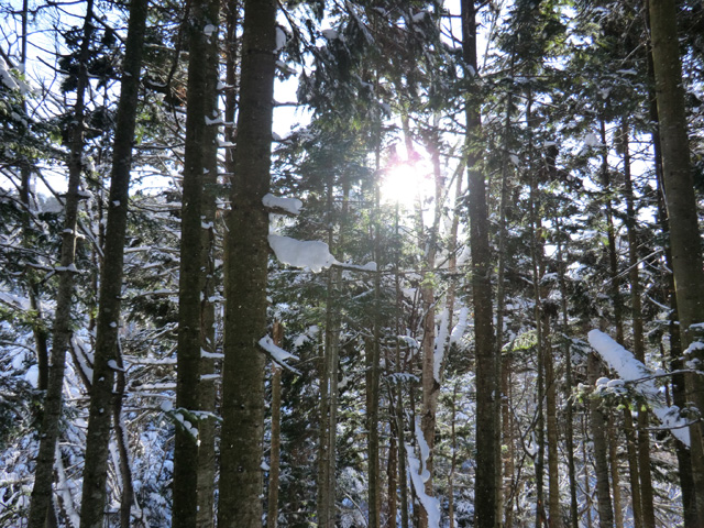 長官山＆瀞台（しずかだい）_a0248232_17554374.jpg