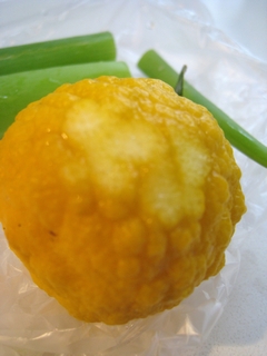 c0134734_8173588.jpg
