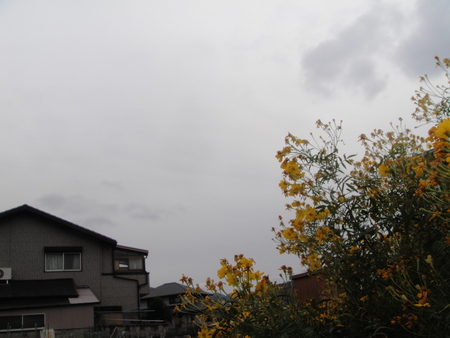 c0108460_15481337.jpg
